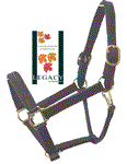 1^ LEGACY LINED LEATHER & STAINLESS STEEL HALTER W/ADJ. CHIN - COB - BLACK