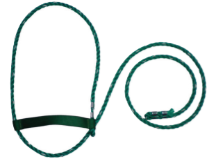 https://www.brubachersharness.ca/ADJUSTABLE-ROPE-COW-HALTER-BLUE-W/WHITE-TRACER/image/item/AMH-4220-11