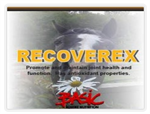 BASIC NUTRITION RECOVEREX 500g