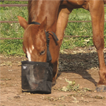 CASHEL FEED RITE BAG - HORSE