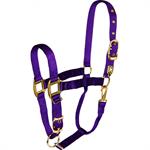 HAMILTON 1^ DELUXE HALTER W/ADJUSTABLE CHIN AND SNAP - LARGE HORSE - PURPLE