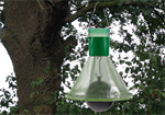 INSECTIVE WASP/HORSEFLY MT-TRAP