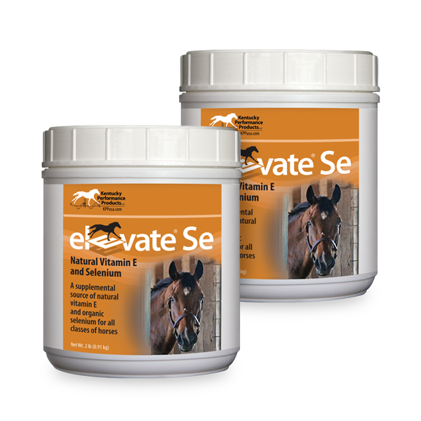 KENTUCKY PERFORMANCE PRODUCTS ELEVATE SE (POWDER) .91 KG (2 LBS.)