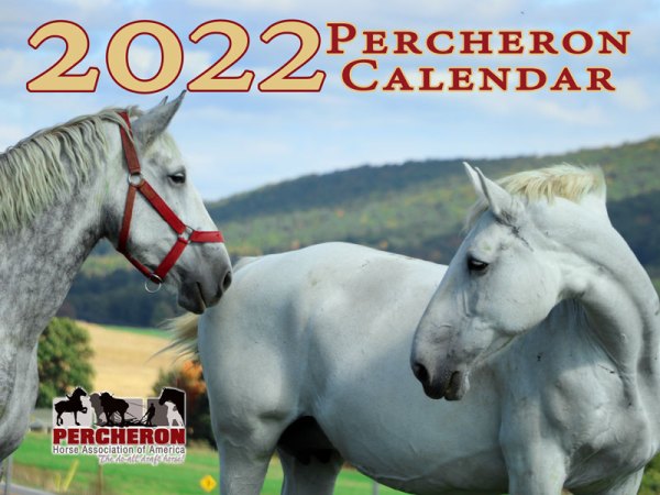 PERCHERON CALENDARS (2024)