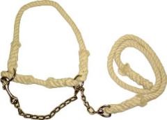 ROPE HALTER W/CHAIN 2-YEAR OLD