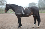 SHIRES LUNGING AID - BLACK