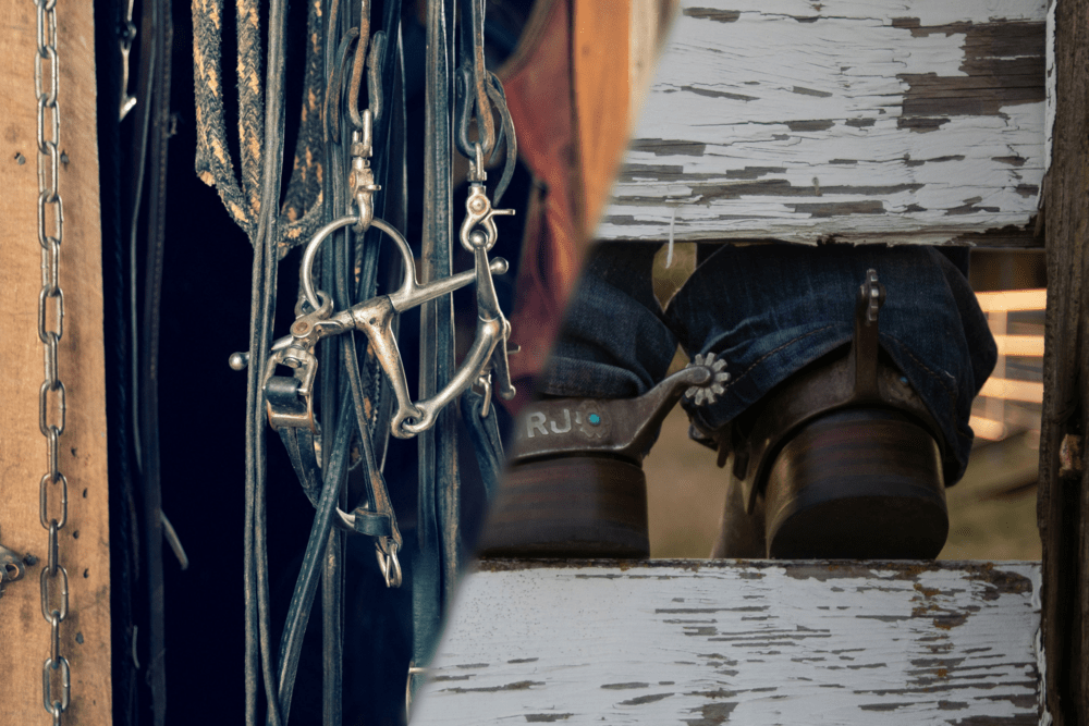 Bits & Spurs